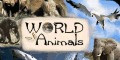 Welt der Tiere
